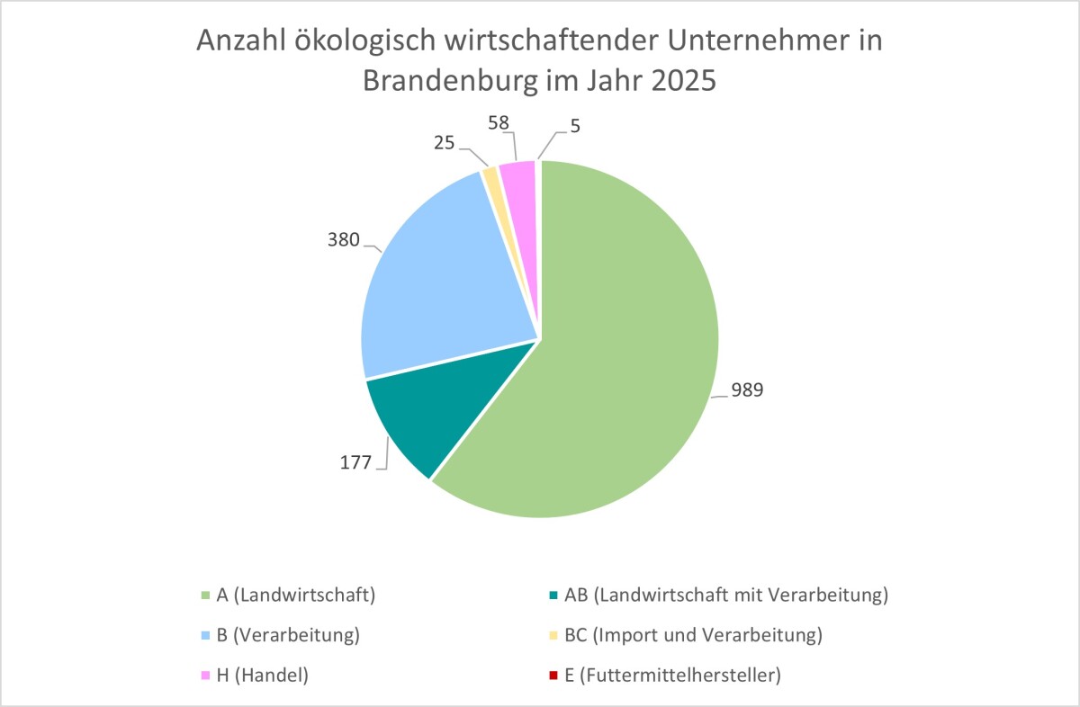 Im Jahr 2025 waren gemeldet: 989 Landwirtschaftsbetriebe, 380 Verabeitungsbetriebe, 177 Landwirtschaftsbetriebe mit Verarbeitung, 58 Handelsbetriebe, 25 Verarbeiter die Waren aus Drittländern importieren und 5 Futtermittelhersteller. Insgesamt waren demnach 1.634 Unternehmen in Brandenburg gemeldet.