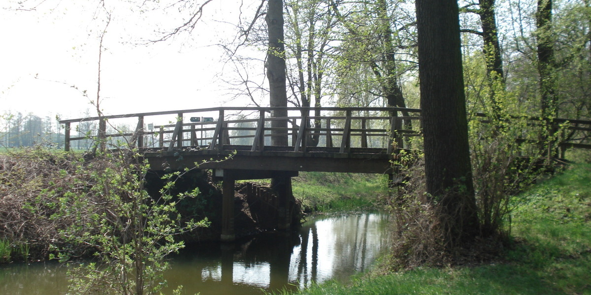 Bild: eine Holzbrücke geht über ein Spreewaldfließ