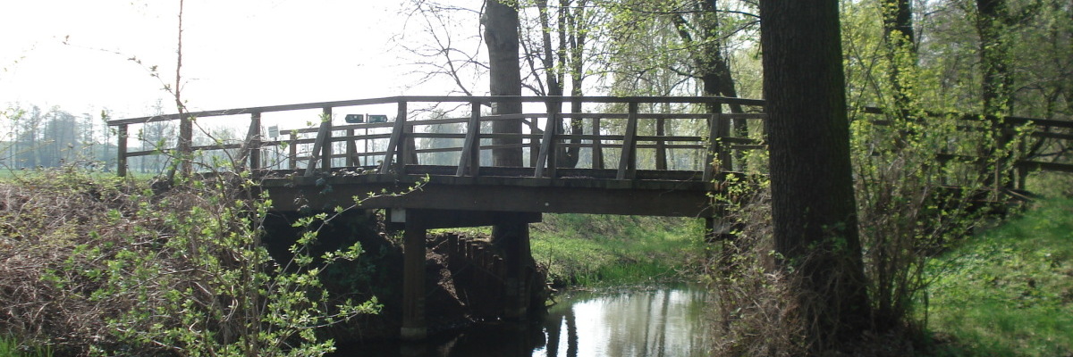 eine Holzbrücke geht über ein Spreewaldfließ