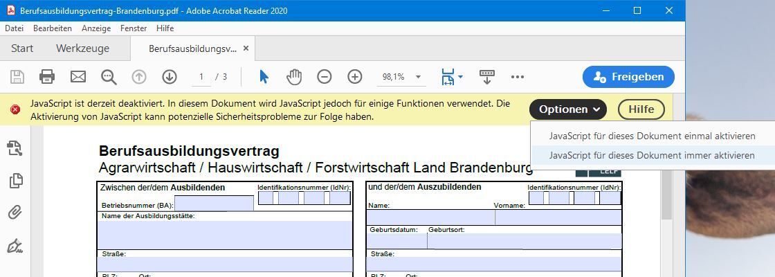 ein Screenshot zeigt, wie JavaScript im Acrobat Reader aktiviert wird