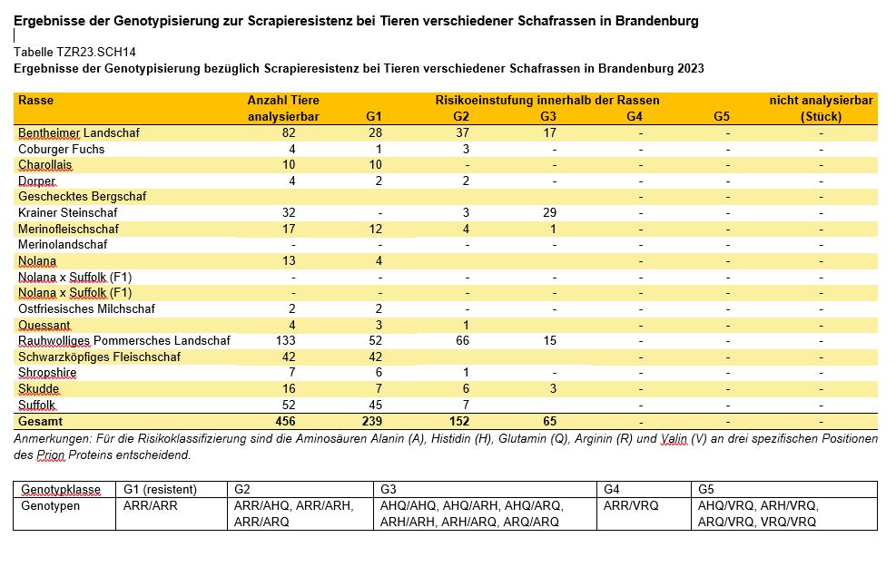 Grafik Scrapieresistenz