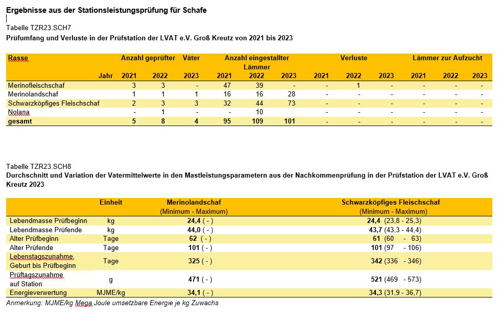 Grafik Stationsleistungsprüfung