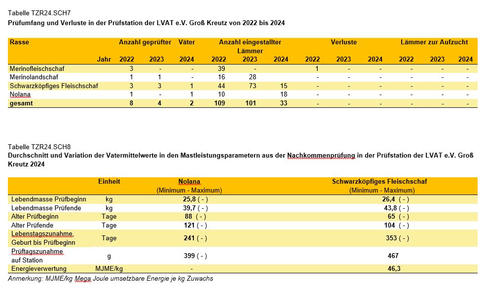 Grafik Stationsleistungsprüfung