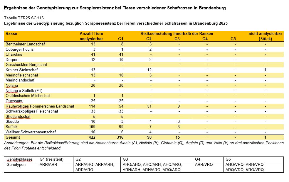 Grafik Scrapieresistenz