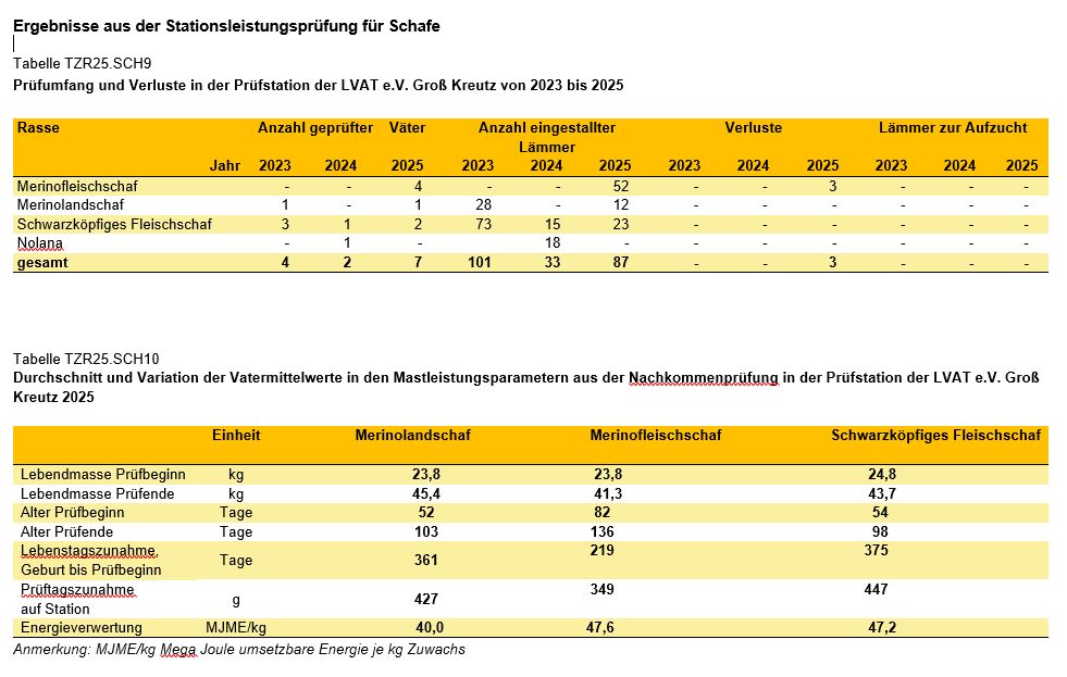 Grafik Stationsleistungsprüfung