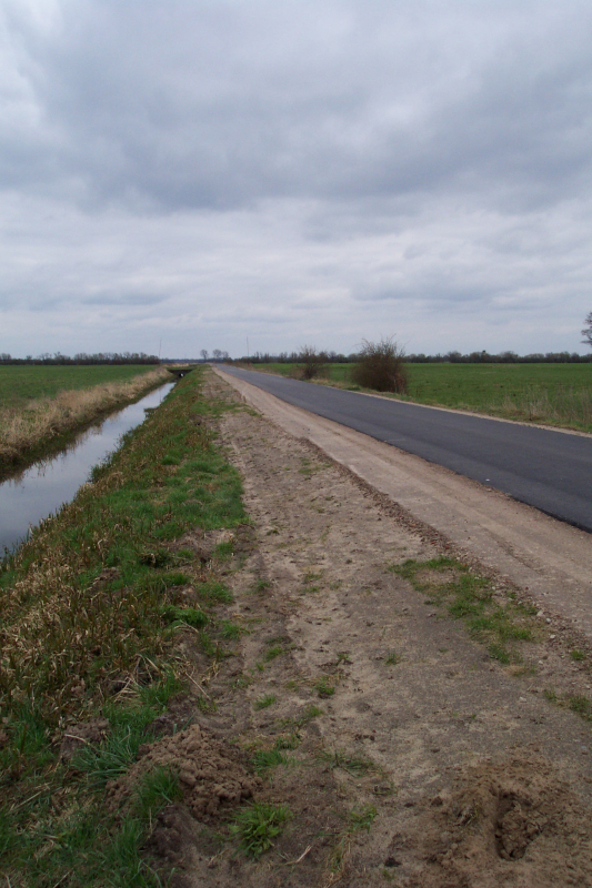 ein Weg führt durch die Landschaft