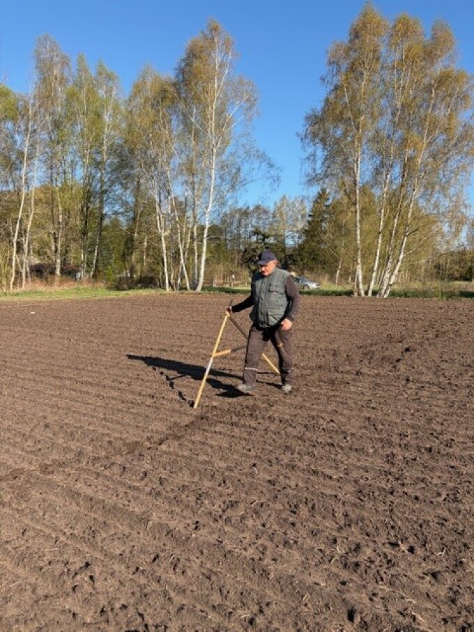 ein Mann geht über ein Feld und zirkelt die Versuchsparzellen aus
