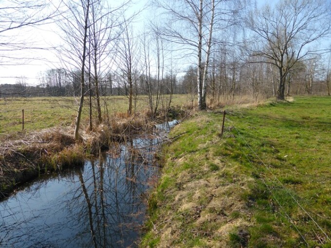 Werden alte Gewässerläufe wiederhergestellt und renaturiert, kann neuer Lebensraum für viele Pflanzen und Tiere entstehen. (Bodenordnungsverfahren „Drewitzer Nuthewiesen“, Renaturierung der Alten Nuthe, Fertigstellung 2003)