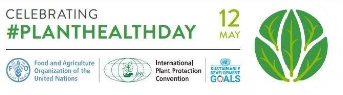 Banner Planet Healt Day
