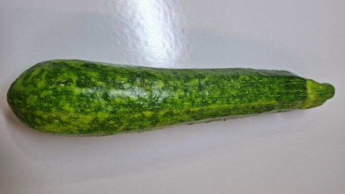 Darstellung der Symptome des Moroccan watermelon mosaic virus (MWMV) an einer Zucchini