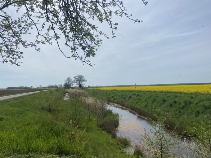 der jetzige Zustand des Breiten Grabens: er schlängelt sich durch die Landschaft
