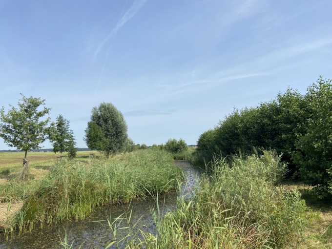der jetzige Zustand des Breiten Grabens: er schlängelt sich durch die Landschaft